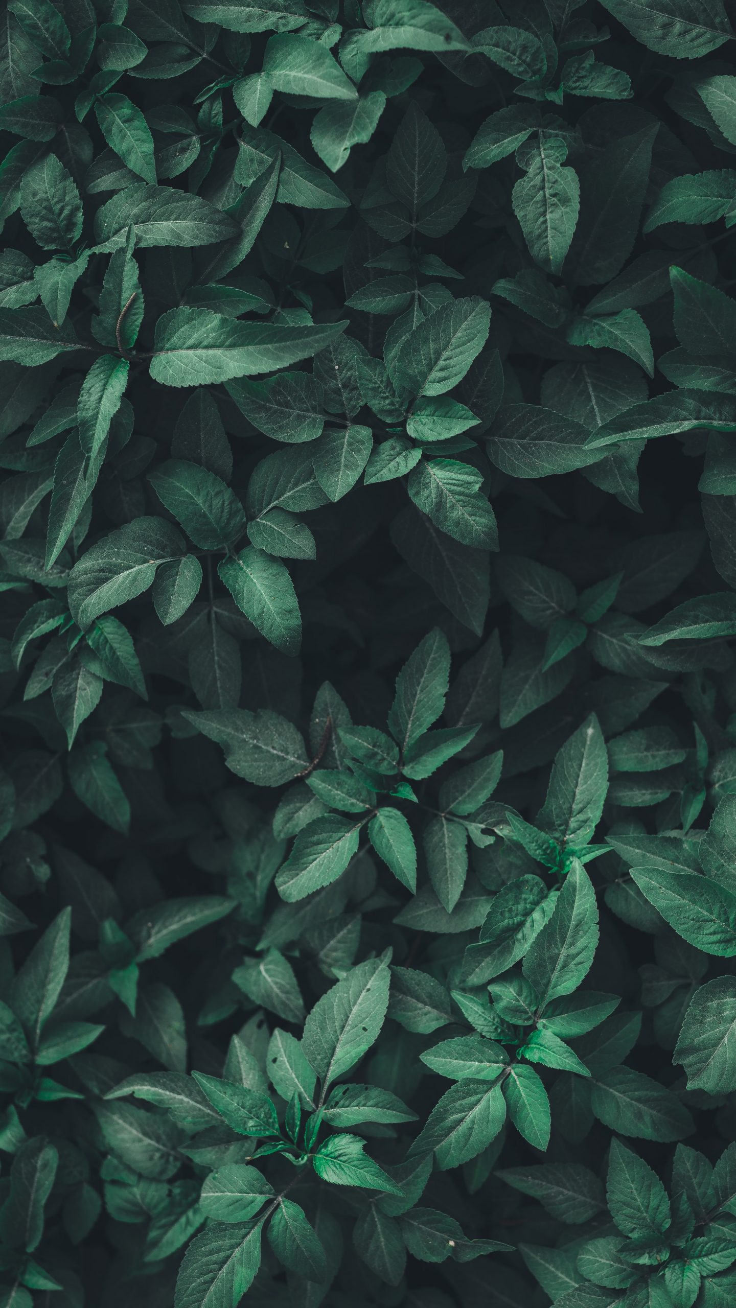 parallax background